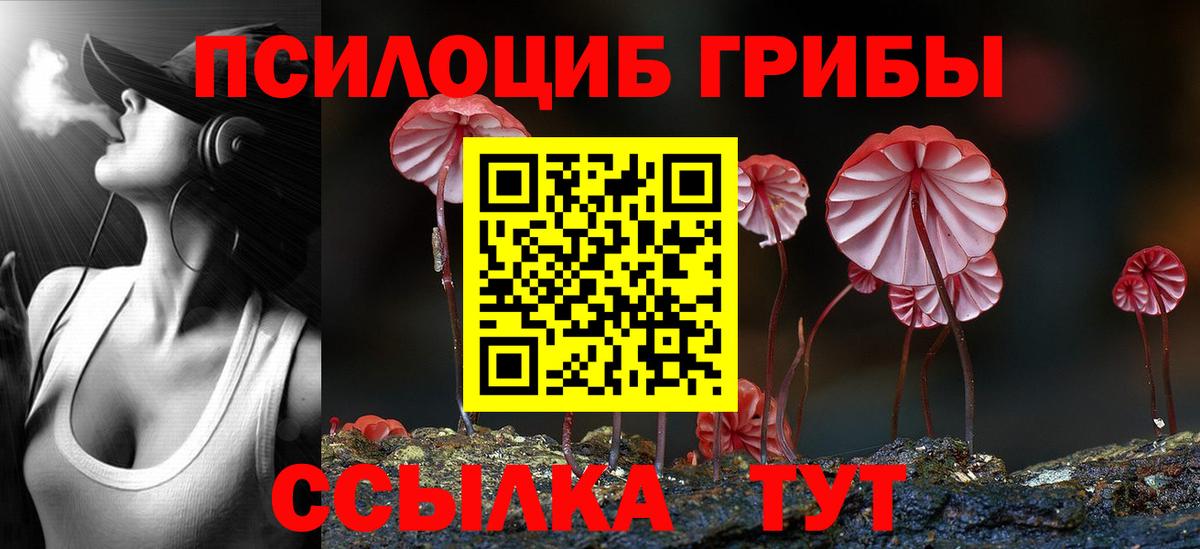 Галлюциногенные грибы мухоморы Заводоуковск